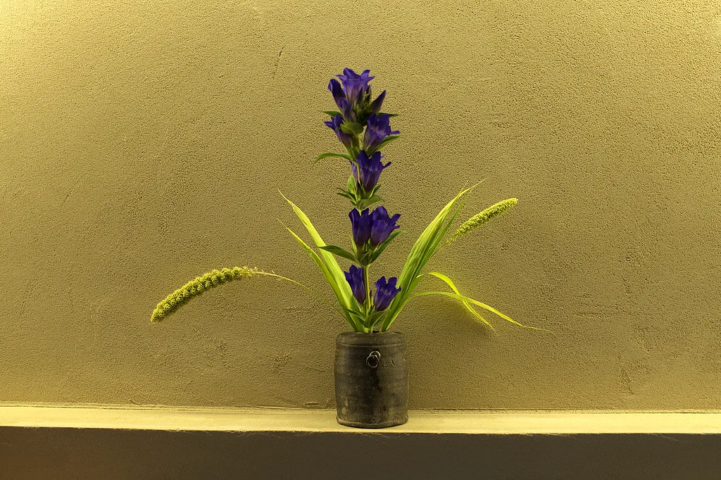 Purple gentian and millet in a dark ceramic jar against a plaster wall