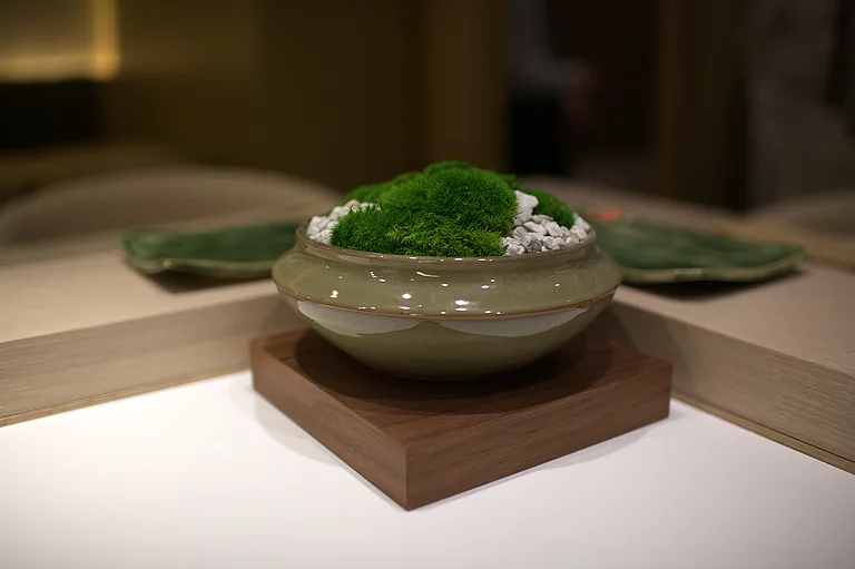 A moss-filled ceramic bowl on the counter